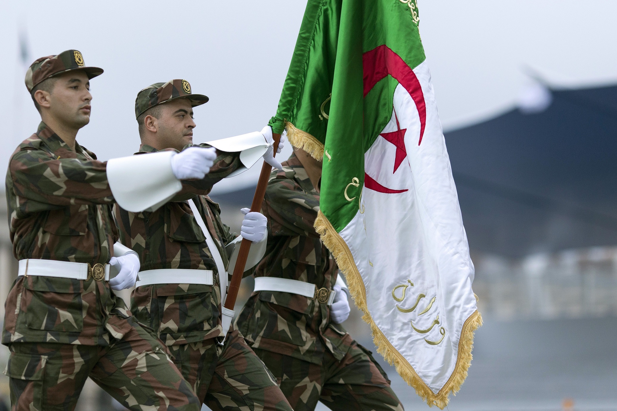 армия алжира
