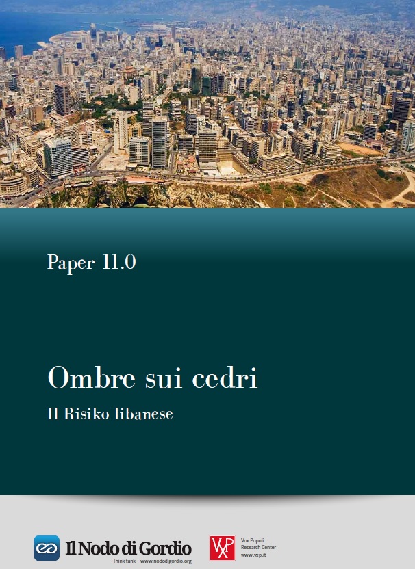 paper11_ombre sui cedri