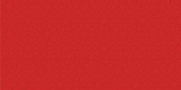 TURKEY TALKS WEBINARS “TURKEY’S VISION OF EQUITY AND COOPERATION IN THE EASTERN MEDITERRANEAN”