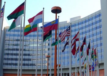 Individualism and Democracy: A Complex Relationship