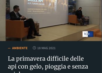 La primavera difficile delle api con gelo, pioggia e senza miele – Rainews TGR 18.05.2021