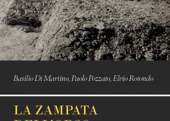 Libro “La Zampata dell’orso” di Basilio Di Martino, Paolo Pozzato, Elvio Rotondo