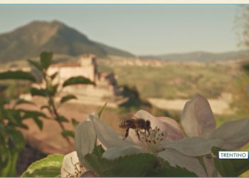 LA GIORNATA DELLE API TRA SLOVENIA E TRENTINO – Trentino TV 19.05.2021