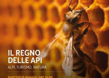 Il Regno delle Alpi: Alpi, Turismo, Natura – Rassegna Stampa