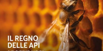 Il Regno delle Alpi: Alpi, Turismo, Natura – Rassegna Stampa