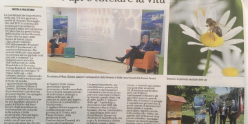 Difendere le api è tutelare la vita – l’Adige 19.05.2021