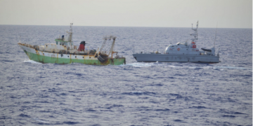 STOCCATE                               Panciafichisti più che pacifisti…