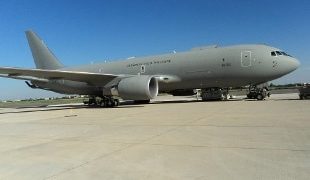 STOCCATE:                                              Chi pecora si fa il lupo se lo mangia