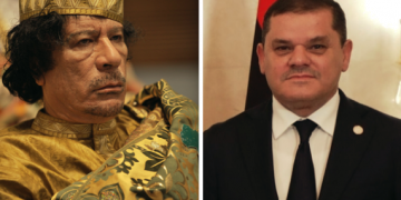 STOCCATE:                                              Per i bischeri un c’è Paradiso