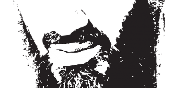 STOCCATE:                                                La resurrezione di Osama Bin Laden