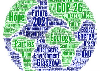 STOCCATE:                                                La parte degli angeli