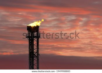 STOCCATE:                                                  Il metano ti dà una mano