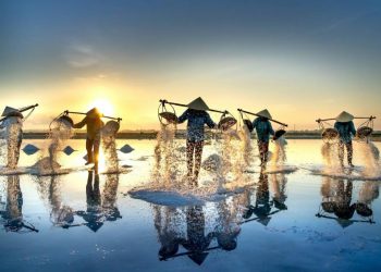 I “quattro no” del Vietnam – Bassanonet.it 27.01.2024