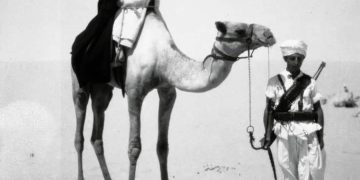 VIAGGIATORI STRAORDINARI DI UN’ITALIA DIVENTATA BANALE – Electomagazine 15.02.2024