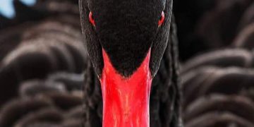 SCENARI IPOTETICI – Electomagazine 15.04.2024