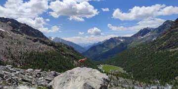 LA GEOPOLITICA DELLE ALPI. SE NE PARLA IN TRENTINO MA LA MONTAGNA ITALIANA È DISTRATTA.. – Electomagazine 11.07.2024