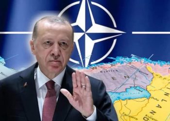 DIETRO IL VELAME – Electomagazine 06.08.2024