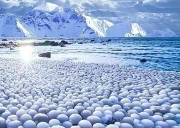 LA PAURA FINLANDESE – Electomagazine 04.11.2024