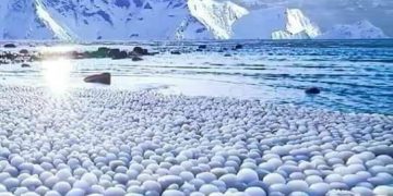 LA PAURA FINLANDESE – Electomagazine 04.11.2024