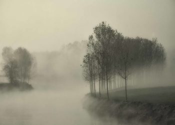 LA NEBBIA E LA SIRIA – Electomagazine 11.12.2024