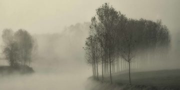 LA NEBBIA E LA SIRIA – Electomagazine 11.12.2024