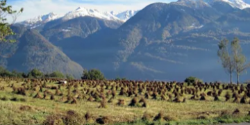 ALPI, LA SPINA DORSALE DELL’EUROPA – L’Opinione 15.05.2025