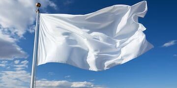 Crollo – Electomagazine 13.11.2025