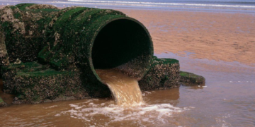 La palude dietro a Epstein – Electomagazine 07.02.2026