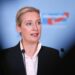 Weidel über alles – Electomagazine 02.07.2026