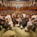 Arcana Imperii – Electomagazine 07.08.2026