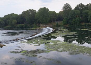 L’acqua sotto i ponti – Electomagazine 24.08.2026