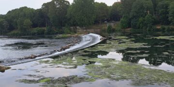 L’acqua sotto i ponti – Electomagazine 24.08.2026