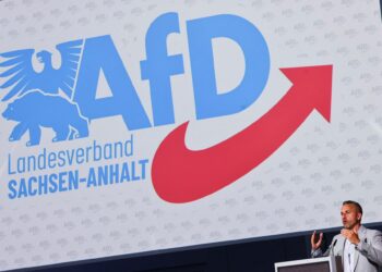 AfD Über alles! E ora? – Electomagazine 08.09.2026